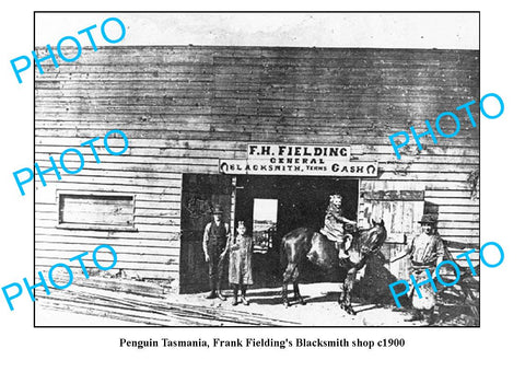 OLD LARGE PHOTO FEATURING PENGUIN TASMANIA, FRANK FIELDINGS BLACKSMITH SHOP 1900