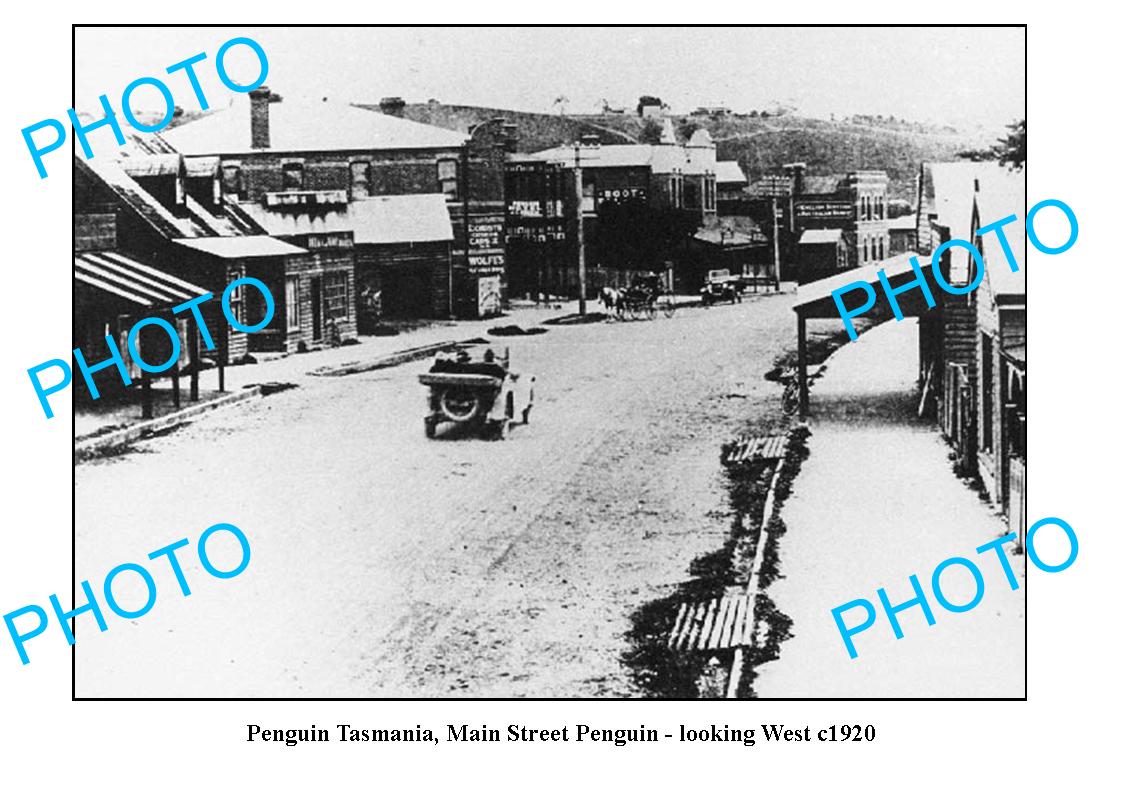 OLD LARGE PHOTO FEATURING PENGUIN TASMANIA, MAIN STREET LOOKING WEST c1920