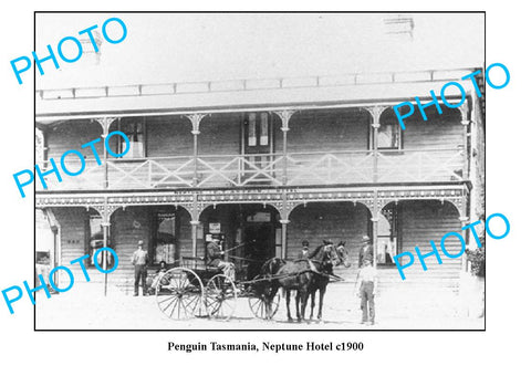 OLD LARGE PHOTO FEATURING PENGUIN TASMANIA, NEPTUNE HOTEL BUILDING c1900