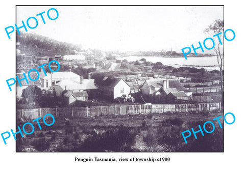 OLD LARGE PHOTO FEATURING PENGUIN TASMANIA, VIEW OF TOWNSHIP c1900