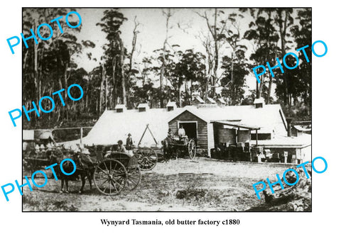 OLD LARGE PHOTO FEATURING WYNYARD TASMANIA, VIEW OF OLD BUTTER FACTORY c1880