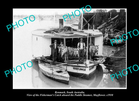 OLD LARGE HISTORIC PHOTO RENMARK SOUTH AUSTRALIA, PADDLE STEAMER MAYFLOWER c1910