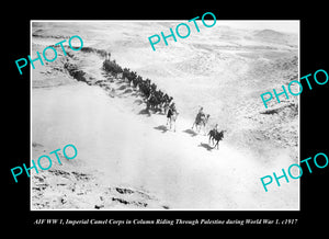 OLD LARGE HISTORIC PHOTO AUSTRALIAN MILITARY WWI, CAMEL CORPS IN PALESTINE c1917