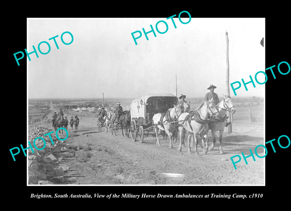 OLD LARGE HISTORIC PHOTO AUSTRALIAN MILITARY WWI HORSE AMBULANCE WAGON c1910