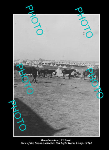 OLD LARGE HISTORIC PHOTO SOUTH AUSTRALIAN 9th LIGHT HORSE CAMP WWI 1914 MILITARY