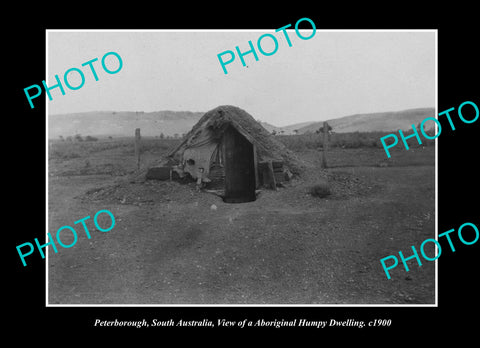 OLD LARGE HISTORIC PHOTO PETERBOROUGH SOUTH AUSTRALIA, ABORIGINAL HUMPY c1900