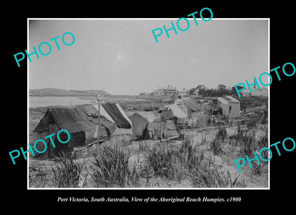 OLD LARGE HISTORIC PHOTO PORT VICTORIA SOUTH AUSTRALIA, ABORIGINAL HUMPIES c1900