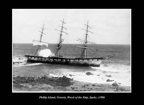 OLD LARGE HISTORIC PHOTO PHILLIP ISLAND VICTORIA, THE SHIP WRECK SPEKE c1906