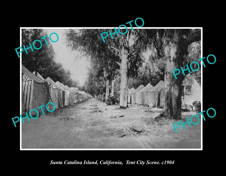 OLD LARGE HISTORIC PHOTO SANTA CATALINA CALIFORNIA, VIEW OF TENT CITY c1904