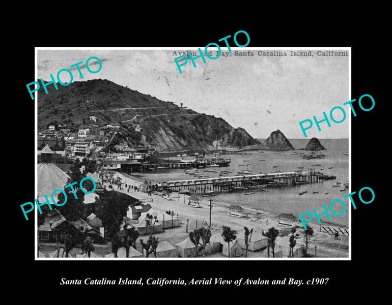 OLD LARGE HISTORIC PHOTO SANTA CATALINA CALIFORNIA, VIEW OF THE BAY & PIER c1907