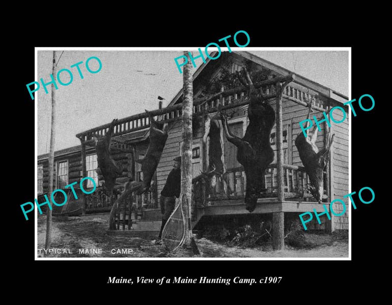 OLD LARGE HISTORIC PHOTO MAINE, VIEW OF A HUNTING CAMP c1907