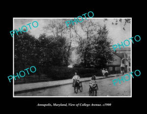 OLD LARGE HISTORIC PHOTO ANNAPOLIS MARYLAND, VIEW OF COLLEGE AVE c1900