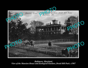 OLD LARGE HISTORIC PHOTO BALTIMORE MARYLAND, THE ZOO & MANSION c1907