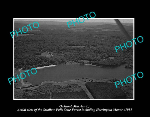 OLD LARGE HISTORIC PHOTO OAKLAND MARYLAND, THE SWALLOW FALLS FOREST 1951