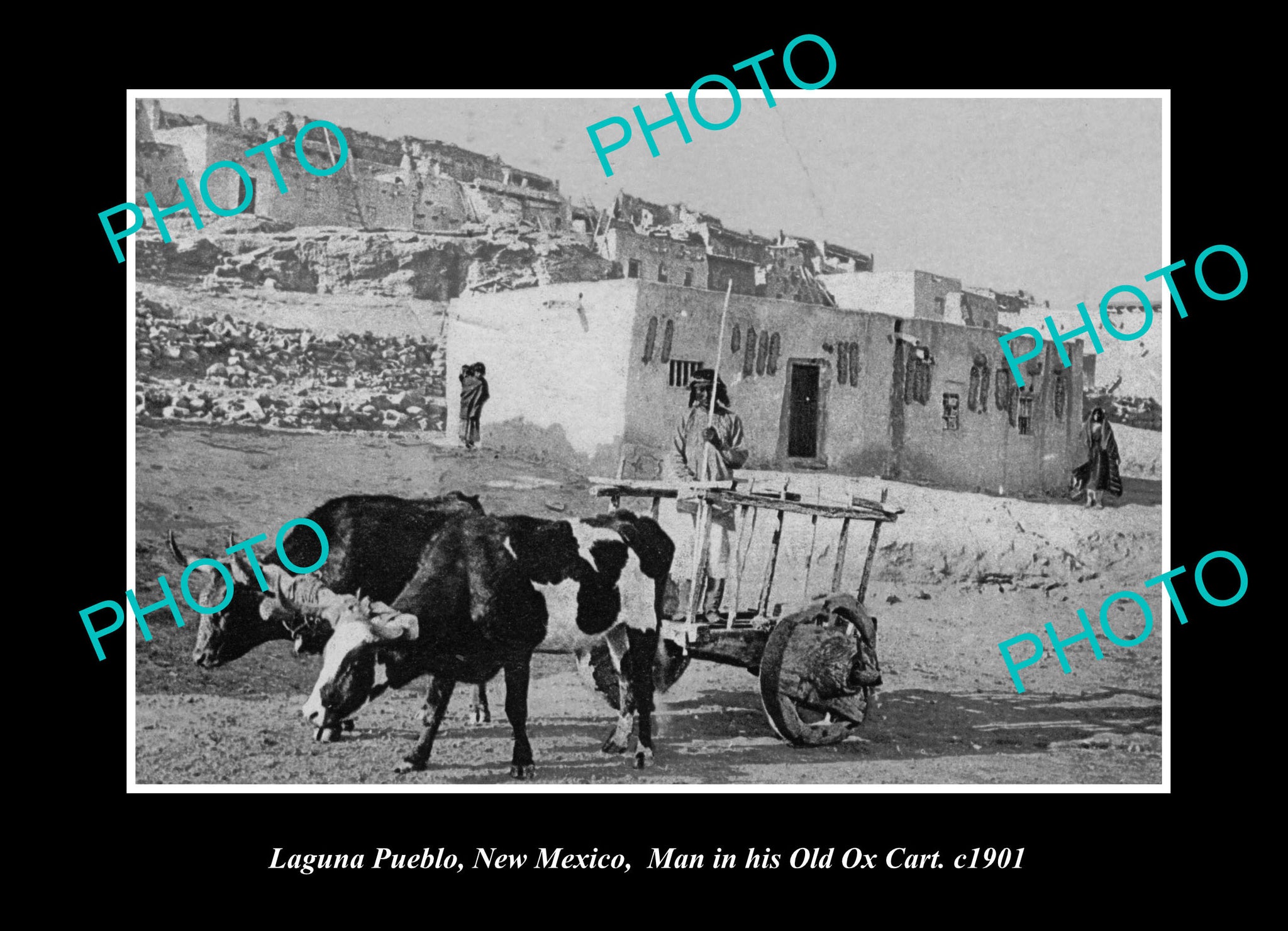 OLD LARGE HISTORIC PHOTO LAGUNA PUEBLO NEW MEXICO, THE OX CART c1901