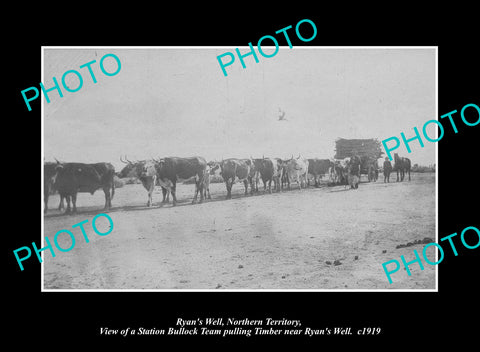 OLD LARGE HISTORIC PHOTO RYANS WELL NORTHERN TERRITORY, THE BULLOCK TEAM c1919