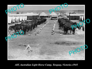 OLD LARGE HISTORIC PHOTO OF AIF AUSTRALIAN LIGHT HORSE CAMP, TORQUAY VIC c1945