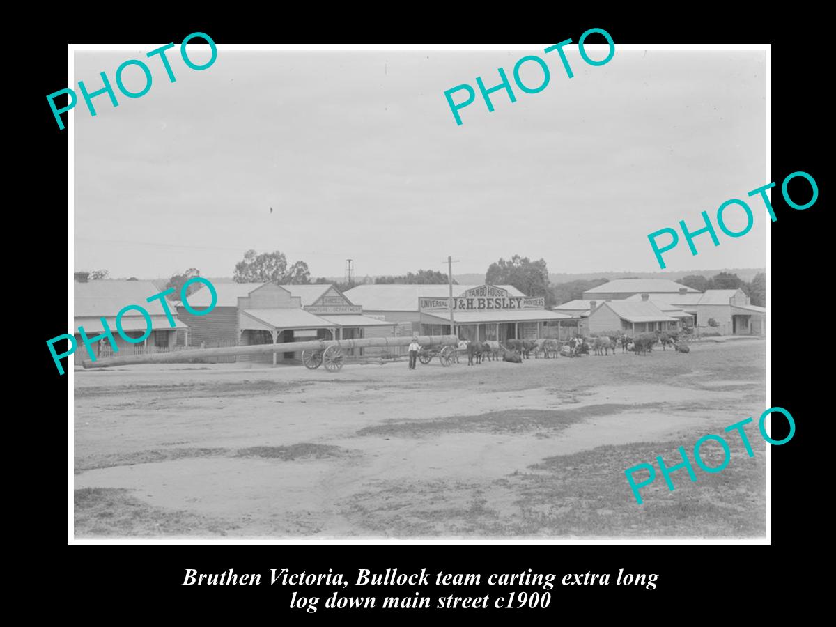 OLD LARGE HISTORIC PHOTO OF BRUTHEN VICTORIA, BULLOCK TEAM ON MAIN St c1900