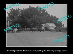 OLD LARGE HISTORIC PHOTO OF POOWONG VICTORIA, BULLOCK TEAM IN TOWNSHIP c1910