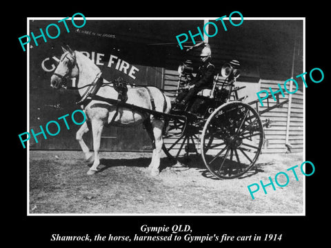 OLD LARGE HISTORIC PHOTO OF GYMPIE QLD, THE FIRE BRIGADES 1st FIRE CART c1914