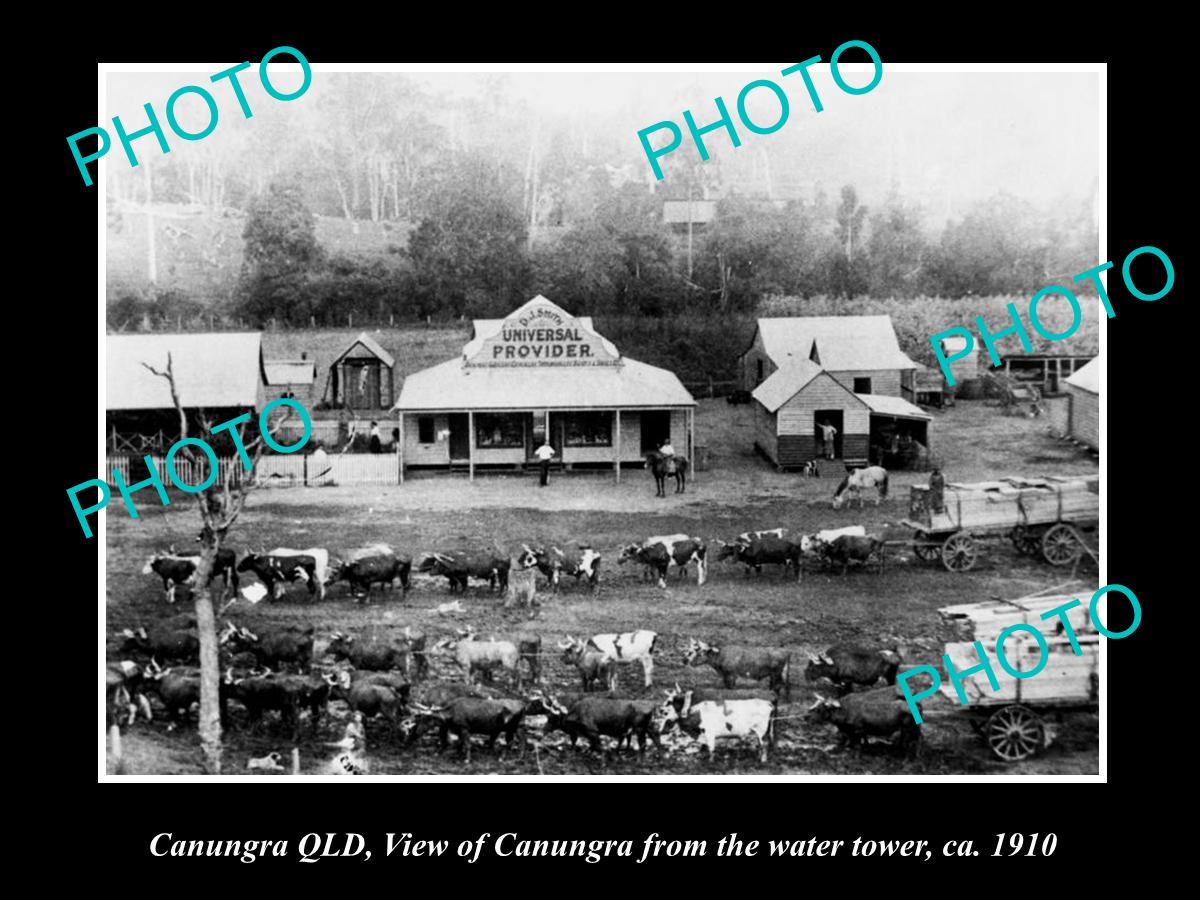 OLD LARGE HISTORIC PHOTO OF CANUNGRA QLD, VIEW OF THE TOWNSHIP c1910