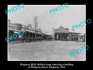 OLD LARGE HISTORIC PHOTO OF KINGAROY QLD, BULLOCK TEAM MOVING A BUILING c1914