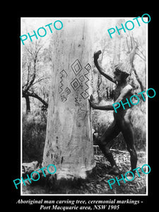 OLD LARGE HISTORICAL PHOTO OF ABORIGINAL MAN CARVING CEREMONIAL MARKINGS c1905