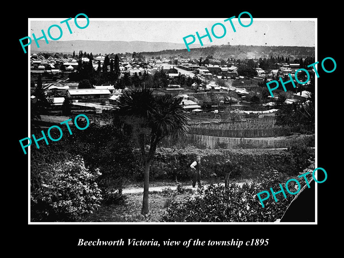 OLD LARGE HISTORICAL PHOTO OF BEECHWORTH VICTORIA, VIEW OF THE TOWNSHIP c1895