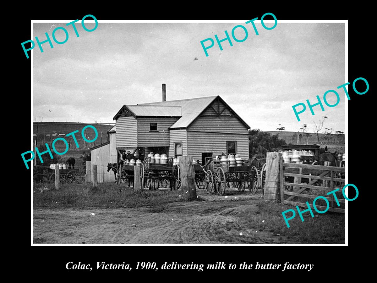 OLD LARGE HISTORICAL PHOTO OF COLAC VICTORIA, MILK AT THE BUTTER FACTORY c1900