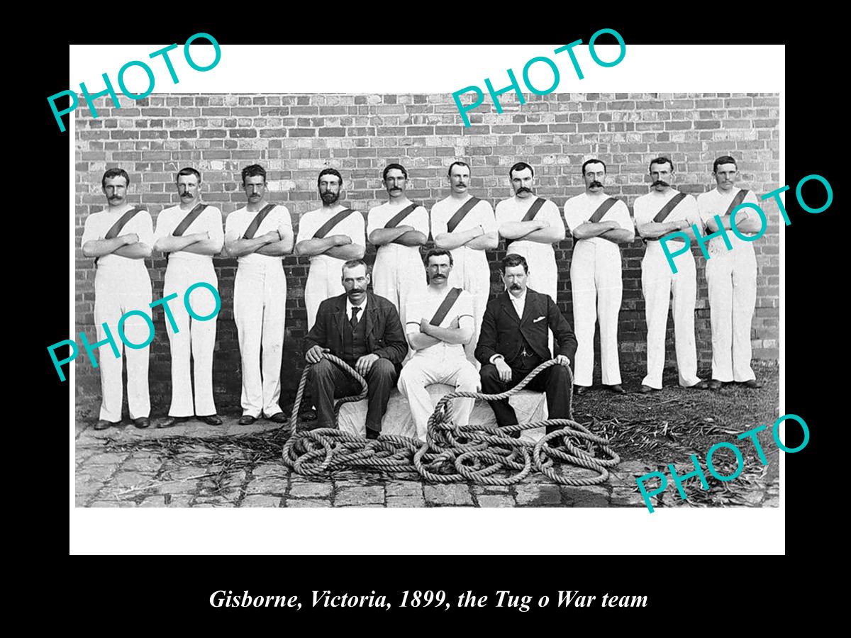 OLD LARGE HISTORICAL PHOTO OF GISBORNE VICTORIA, THE TUG O WAR TEAM 1899