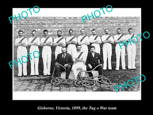 OLD LARGE HISTORICAL PHOTO OF GISBORNE VICTORIA, THE TUG O WAR TEAM 1899