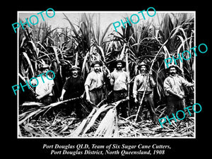 OLD LARGE HISTORICAL PHOTO OF PORT DOUGLAS QLD, GROUP OF SUGAR CANE CUTTERS 1908