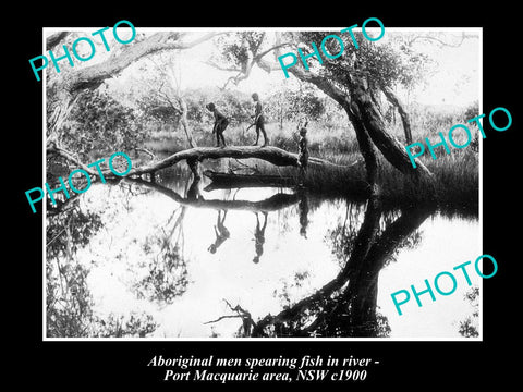 OLD LARGE HISTORICAL PHOTO OF ABORIGINAL MEN SPEAR FISHING IN RIVER, NSW c1900