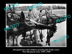 OLD LARGE HISTORICAL PHOTO OF ABORIGINAL MEN SPEAR FISHING BESIDES CREEK c1900