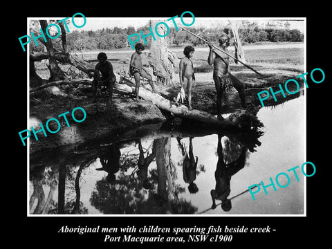 OLD LARGE HISTORICAL PHOTO OF ABORIGINAL MEN SPEAR FISHING BESIDES CREEK c1900