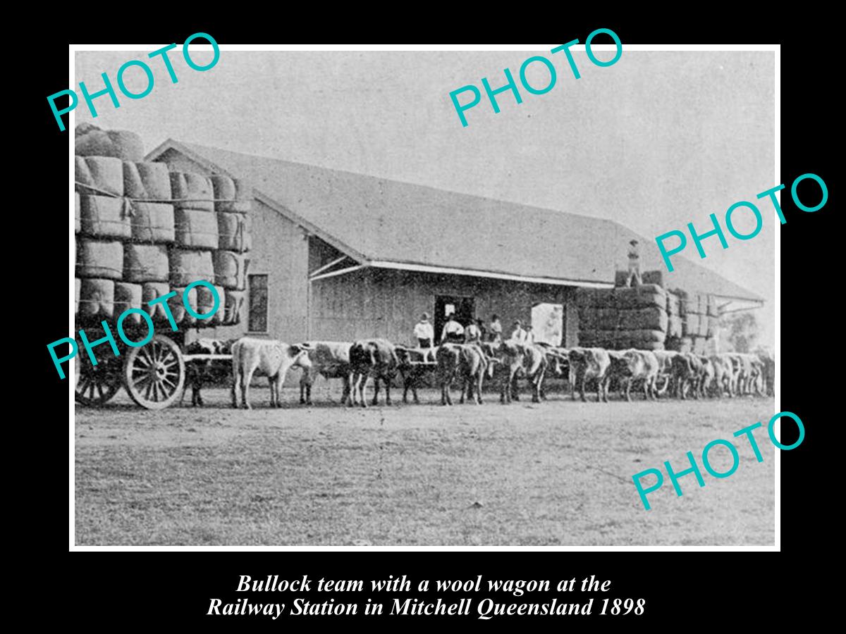 OLD LARGE HISTORIC PHOTO OF MITCHELL QLD, LOADING WOOL AT RAILWAY STATION 1898