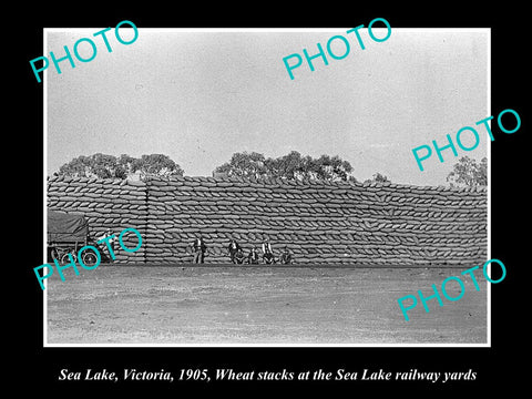 OLD LARGE HISTORIC PHOTO OF  SEA LAKE VICTORIA, WHEAT STACK AT RAIL YARDS c1905