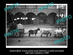 OLD LARGE HISTORIC PHOTO OF ISISFORD QLD, GOAT TEAM & CARRIAGE AT HOTEL c1900