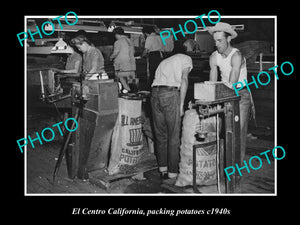 OLD LARGE HISTORIC PHOTO OF EL CENTRO CALIFORNIA, PACKING POTATOES c1940