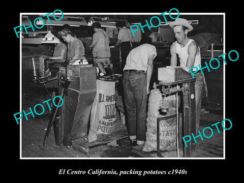 OLD LARGE HISTORIC PHOTO OF EL CENTRO CALIFORNIA, PACKING POTATOES c1940