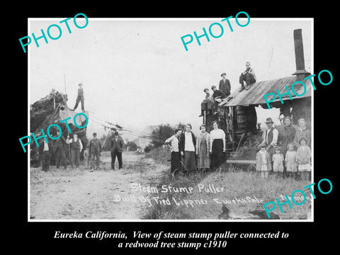 OLD LARGE HISTORIC PHOTO OF EUREKA CALIFORNIA, REDWOOD STEAM STUMP PULLER c1910