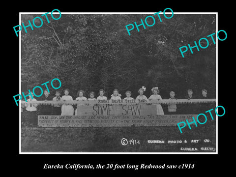 OLD LARGE HISTORIC PHOTO OF EUREKA CALIFORNIA 20ft LONG REDWOOD LOGGING SAW 1914