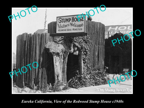 OLD LARGE HISTORIC PHOTO OF EUREKA CALIFORNIA, THE REDWOOD STUMP HOUSE c1940s