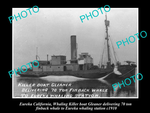 OLD LARGE HISTORIC PHOTO OF EUREKA CALIFORNIA, WHALING STATION BOAT GLEANER 1910