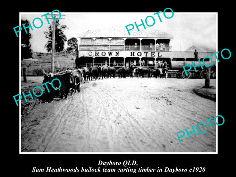 OLD HISTORIC PHOTO OF DAYBORO QLD, BULLOCK TEAM CARTING LOGS, CROWN HOTEL 1920