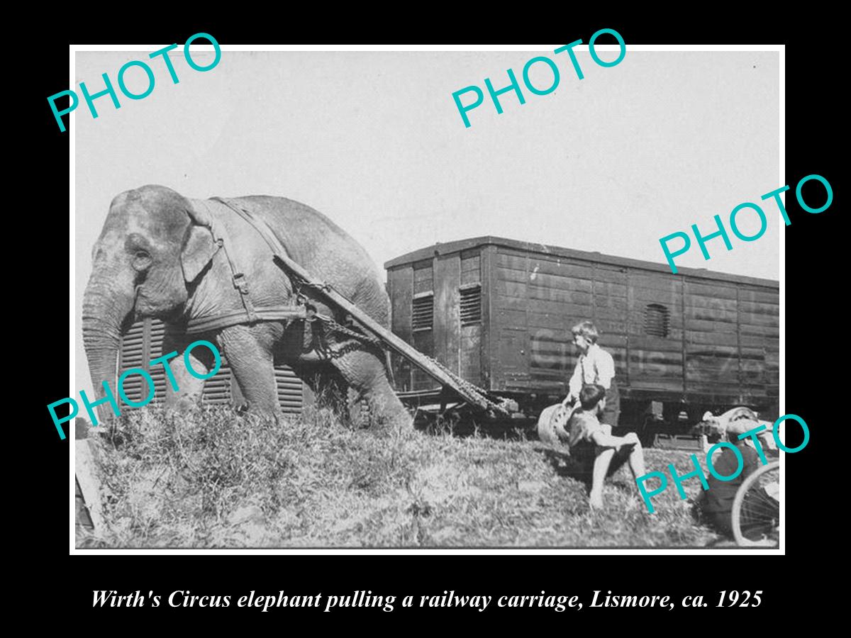 OLD HISTORIC PHOTO OF WIRTHS CIRCUS ELEPHANT PULLING THE CARRIAGE, LISMORE 1925