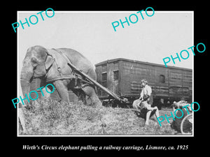 OLD HISTORIC PHOTO OF WIRTHS CIRCUS ELEPHANT PULLING THE CARRIAGE, LISMORE 1925