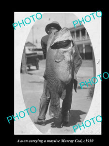 OLD LARGE HISTORIC FISHING PHOTO OF MAN CARRYING A MASSIVE MURRAY COD c1930