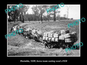 OLD LARGE HISTORIC PHOTO OF WARIALDA NSW, HORSE TEAM CARTING WOOL c1920