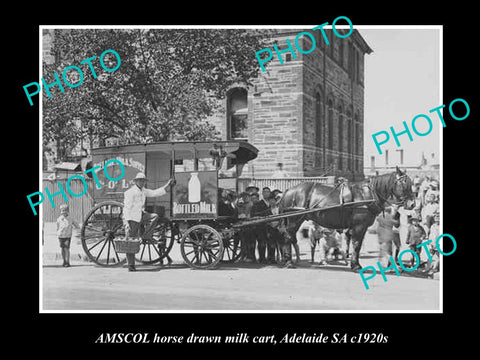 OLD HISTORIC PHOTO OF ADELAIDE SA, AMSCOL MILK & DAIRY Co HORSE CART c1920s